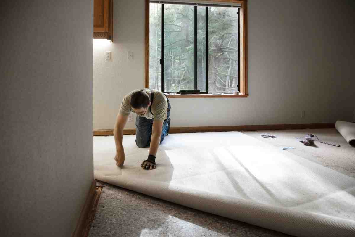 From Floor to More: Understanding Carpet Changing Costs